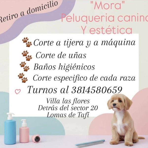 Mora Peluqueria canina Y estética