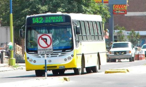 wpid-linea-142.jpg image