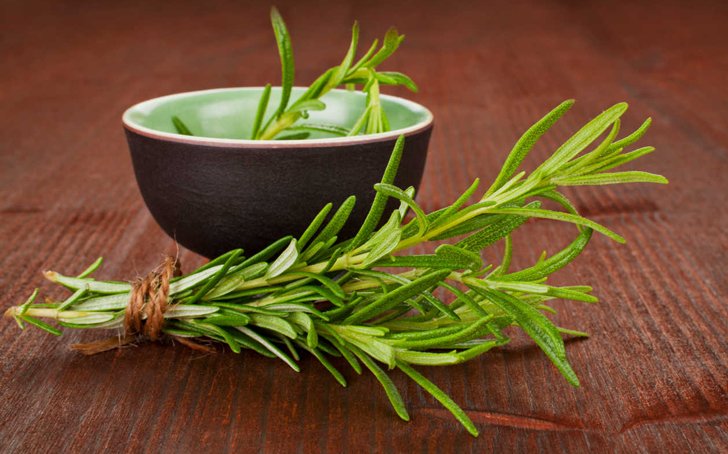 Como-hacer-aceite-esencial-de-romero-1