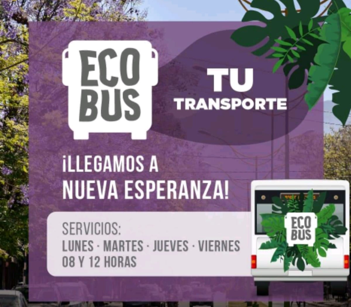 ECO Bus