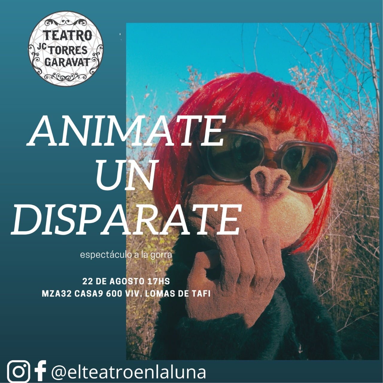 Animate un disparate