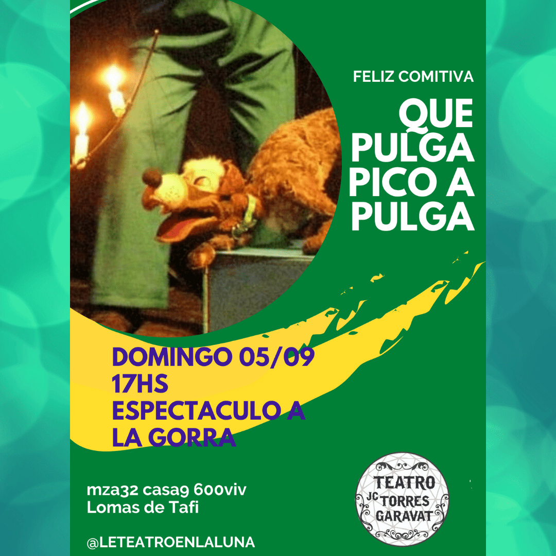Pulga Picó a Pulga