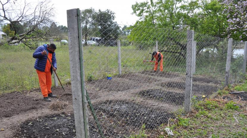 Realizan un taller sobre "Huerta Urbana"
