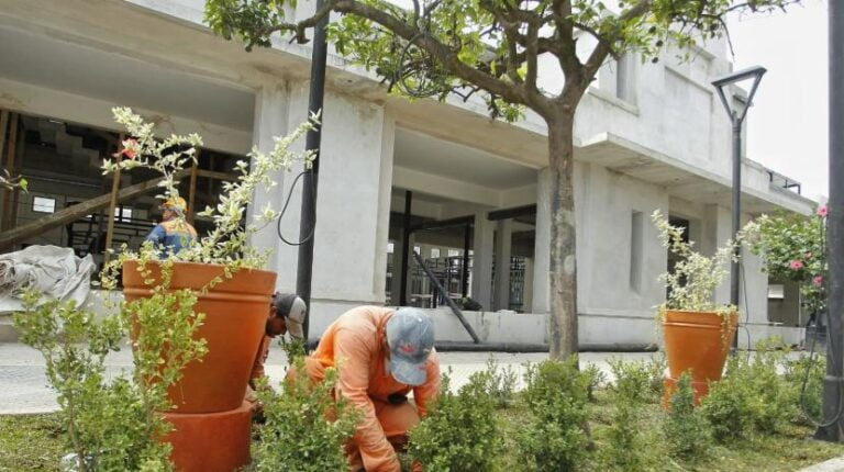 El futuro Mercado Municipal será revestido con un jardín al estilo italiano