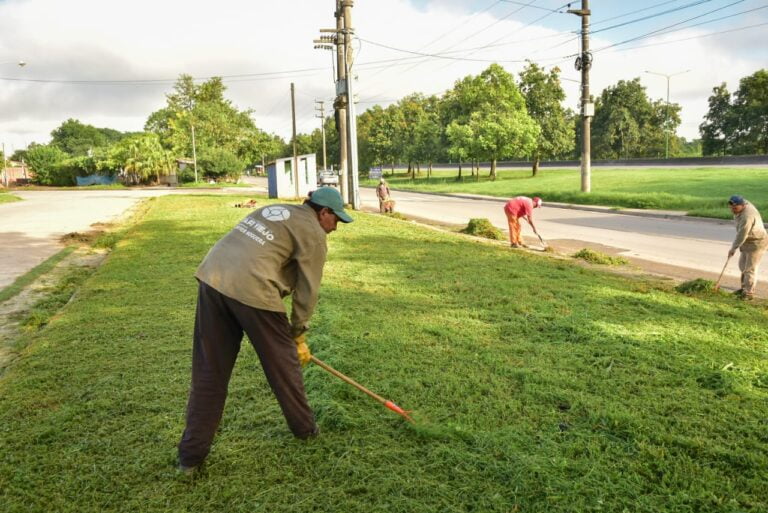 Operativos de limpieza en Lomas de Tafí y alrededores para mantener los espacios verdes limpios y saludables