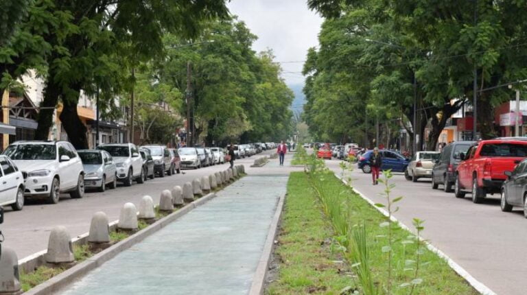 El Estacionamiento Medido: una medida para el orden vehicular en Tafí Viejo