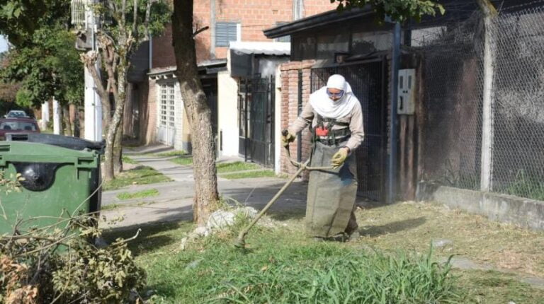 Instan a vecinos a embolsar el pasto o césped para evitar multas