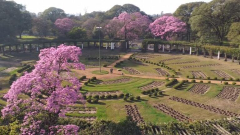 Recuperación del Parque 9 de Julio: Nuevo Director y Custodia Reforzada