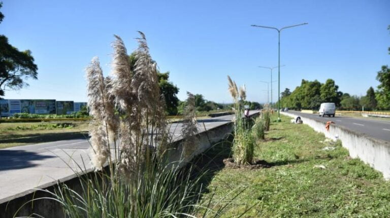 Renovación paisajística en la Diagonal Leccese: Embelleciendo el acceso a la ciudad de Lomas de Tafí