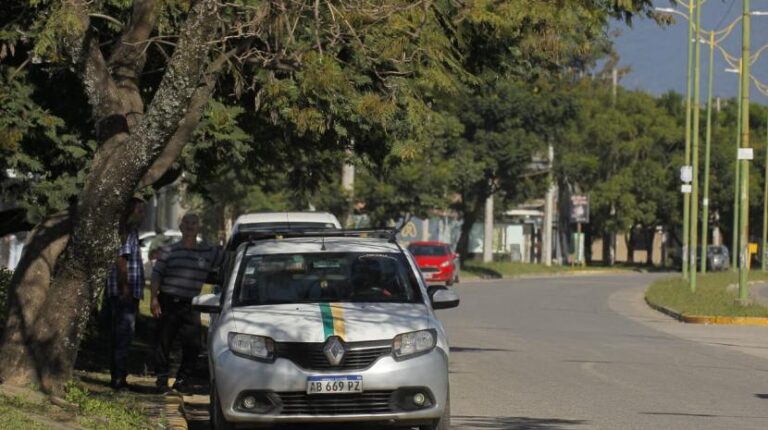Regularización del servicio de taxis en la ciudad de Tafí Viejo