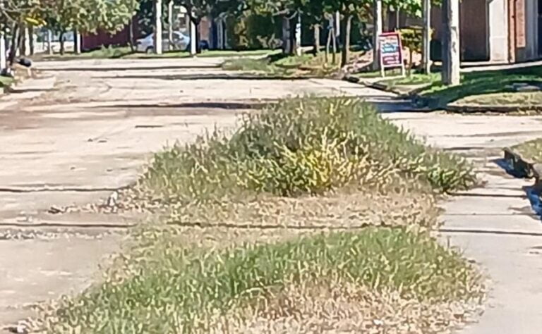 Vecinos del Sector 19 exigen solución a la falta de limpieza en espacios públicos