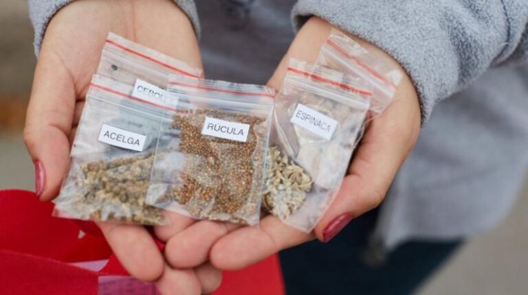 Promueven Huertas Hogareñas en Tafi Viejo con Kits de Semillas Gratuitos