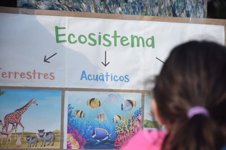 Taller de Ecosistemas: Una Mirada Desde la Infancia