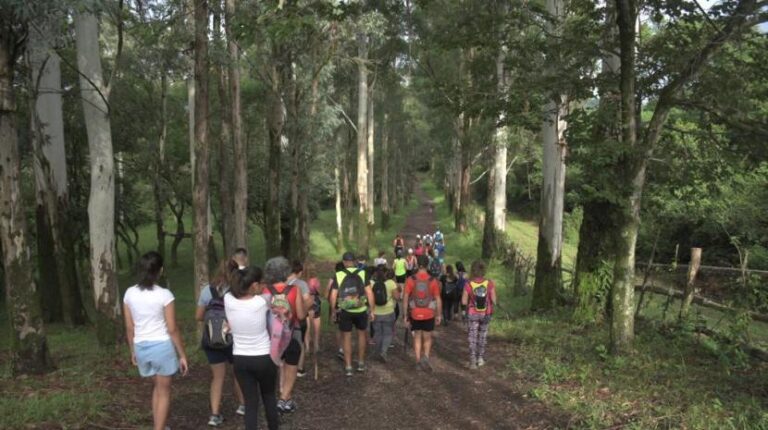 Disfrutá del verano en la Ciudad del Limón con una agenda llena de propuestas