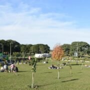 Bosque de la Poesía en Lomas de Tafí: un espacio interactivo para la literatura local