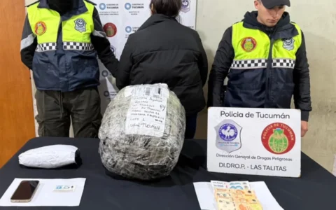 Detienen a una mujer en Lomas de Tafí con cocaína en una encomienda
