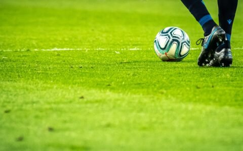La FIFA abrió una investigación contra la Selección Argentina