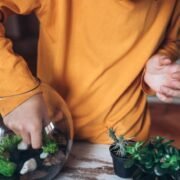Taller de Terrarios en Tafí Viejo: Una vida en un frasco