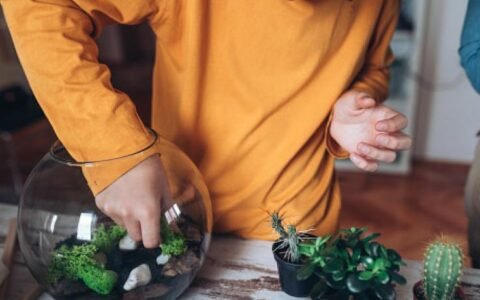 Taller de Terrarios en Tafí Viejo: Una vida en un frasco