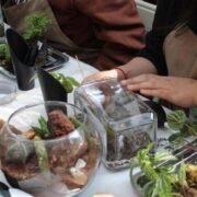 Crear, aprender y cuidar: Los Pocitos tendrá un taller de terrarios