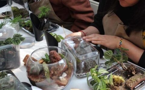 Crear, aprender y cuidar: Los Pocitos tendrá un taller de terrarios