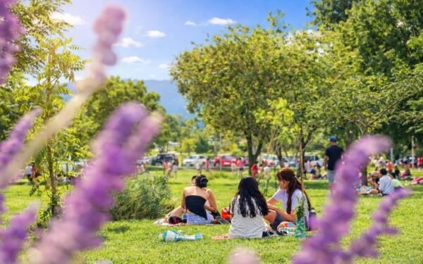 Tafí Viejo vibra: danza, colectividades y violín en un fin de semana sin fronteras
