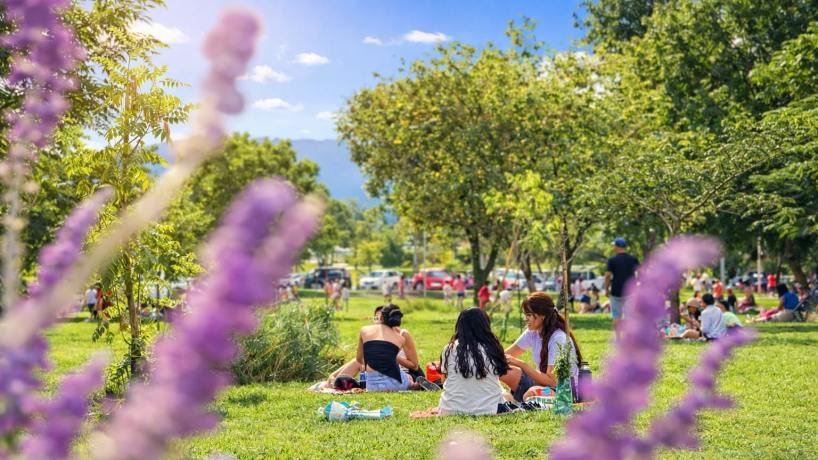 Tafí Viejo vibra: danza, colectividades y violín en un fin de semana sin fronteras