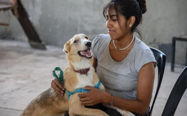 Adopción responsable: Tucumán lidera con tecnología y conciencia