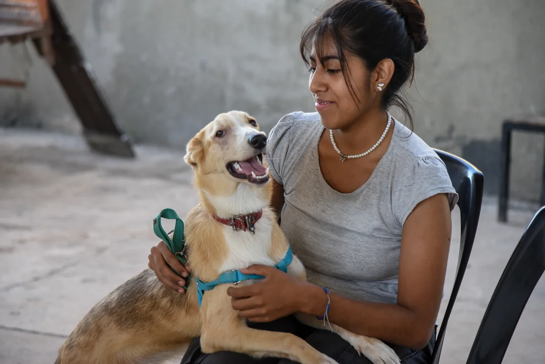 Adopción responsable: Tucumán lidera con tecnología y conciencia