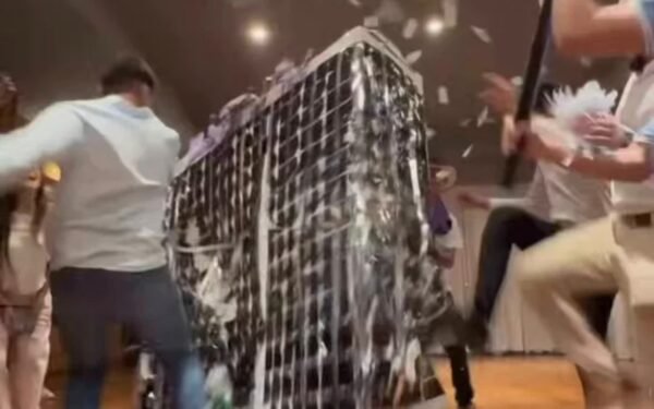 A palos y patadas, militantes de LLA destruyeron una maqueta de la Legislatura tucumana