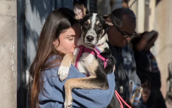 Esterilización gratuita: quirófanos itinerantes llegan a Costanera y Villa Urquiza
