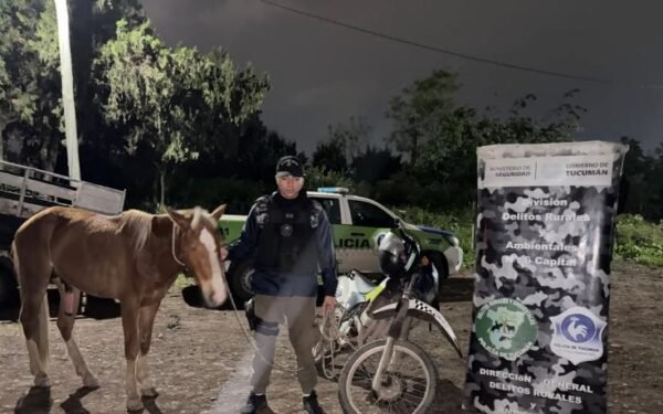 Recuperan caballo robado tras intervención en medio de desorden público