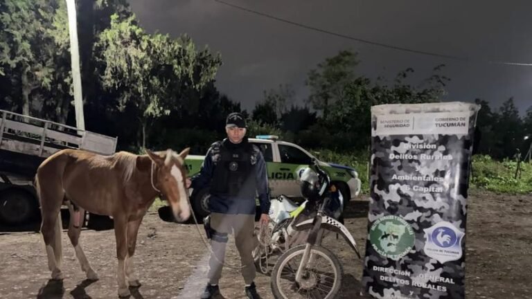 Recuperan caballo robado tras intervención en medio de desorden público