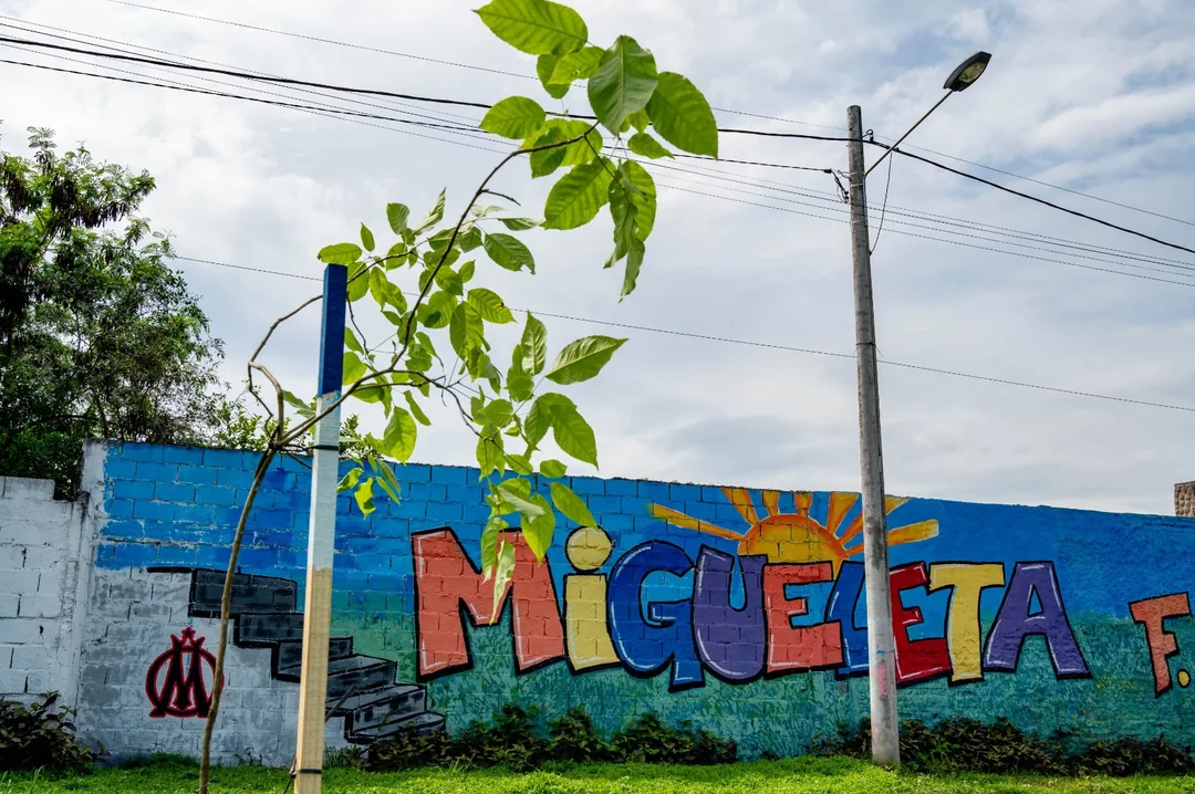 La Migueleta se renueva: Veredas, luces LED y árboles nativos revitalizan el barrio